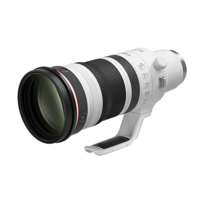 Canon RF 100-300mm f/2.8 L IS USM Lens