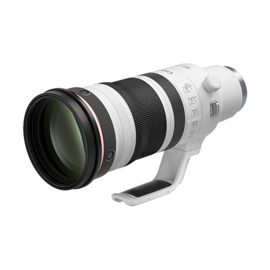 Canon RF 100-300mm f/2.8 L IS USM Lens