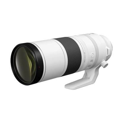 Canon RF 200-800mm f/6.3-9 IS USM Lens