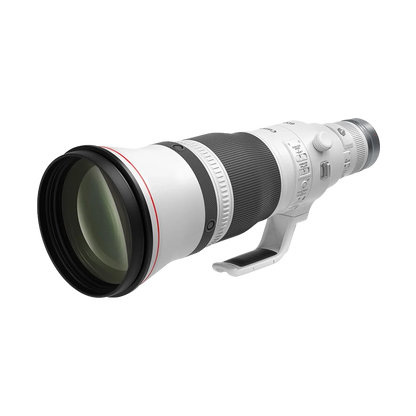 Canon RF 600mm f/4L IS USM Lens