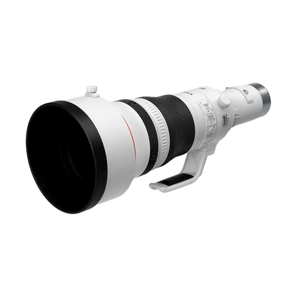 Canon RF 800mm f/5.6 L IS USM Lens