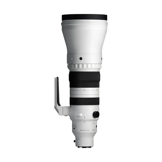 Sigma 300-600mm f/4 DG OS Sports Lens (Sony E)