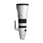 Sigma 300-600mm f/4 DG OS Sports Lens (Sony E)