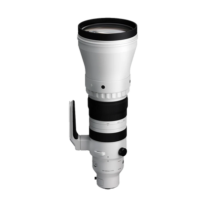 Sigma 300-600mm f/4 DG OS Sports Lens (Sony E)
