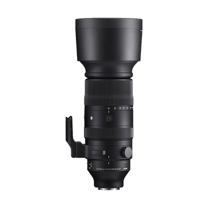Sigma 60-600mm f/4.5-6.3 DG DN OS Sports Lens (Sony E)